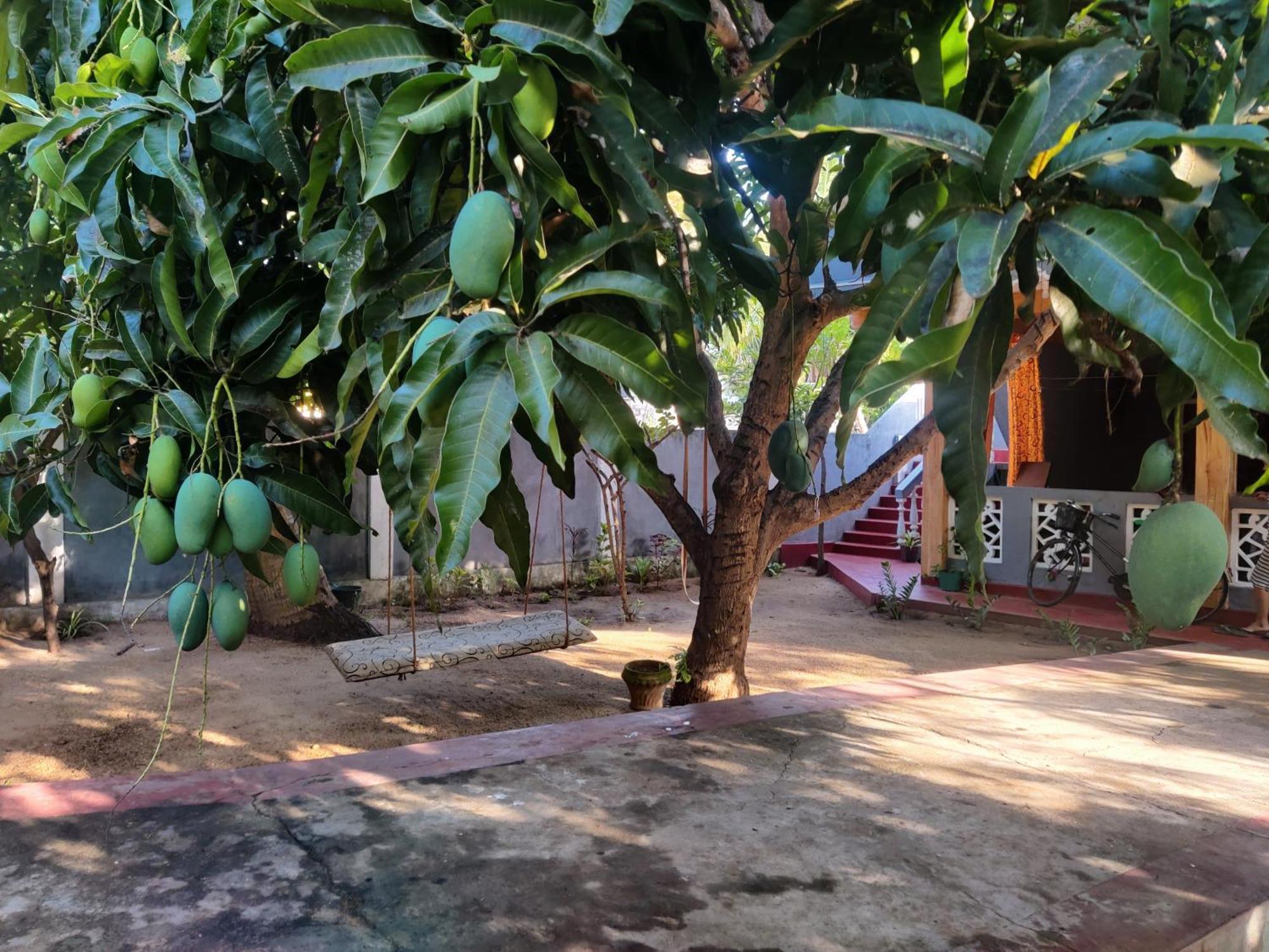 Enoch Guest House มันนาร์ ภายนอก รูปภาพ