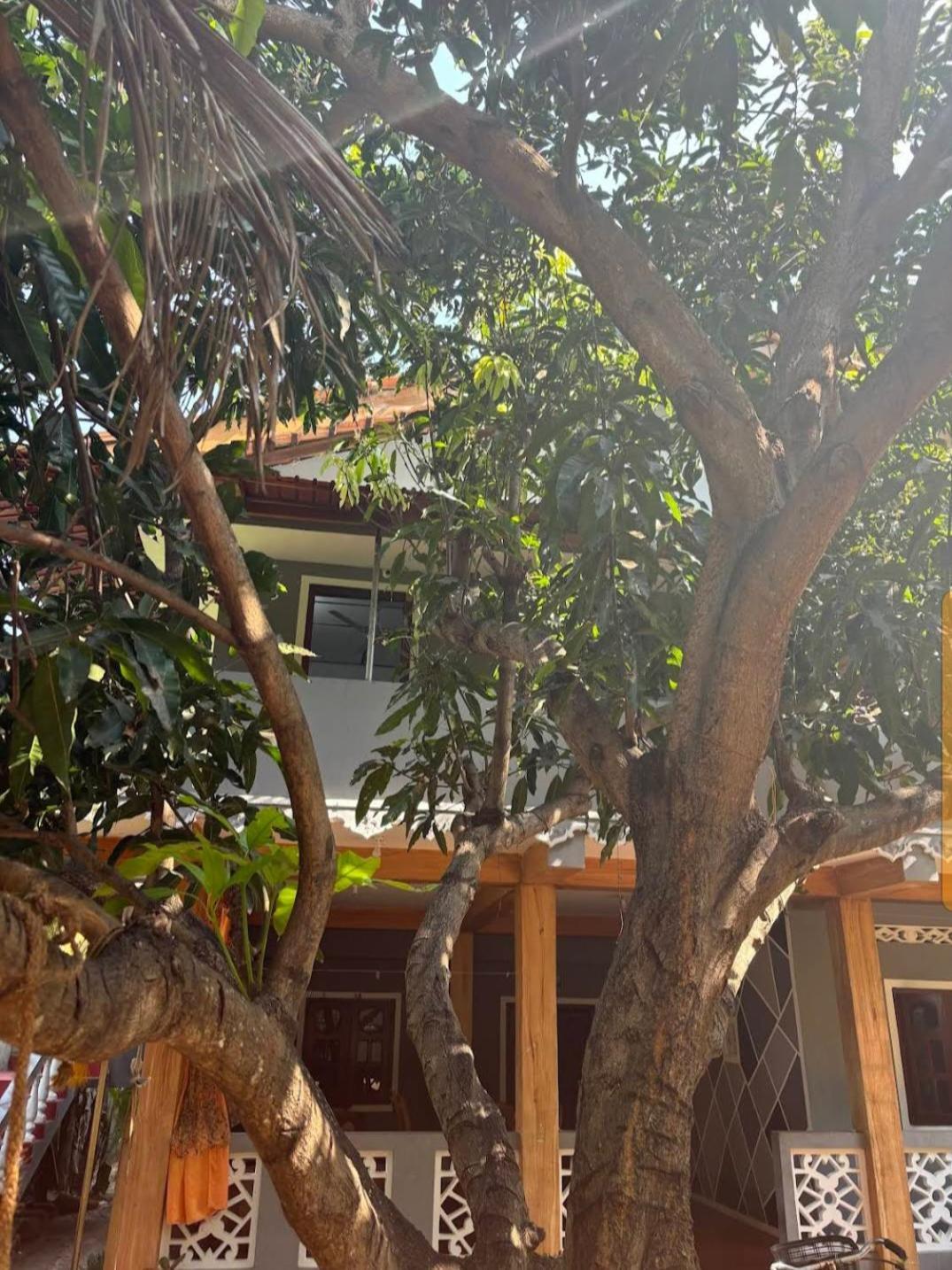 Enoch Guest House มันนาร์ ภายนอก รูปภาพ